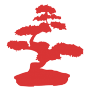 Red Bonsai website